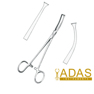 COLVER TONSIL FORCEPS