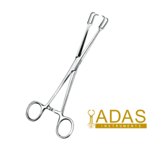 MUSEUX TONSIL FORCEPS