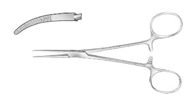 kelly forceps
